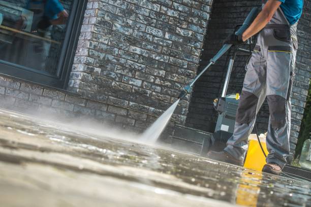 Best House Exterior Washing  in Minonk, IL