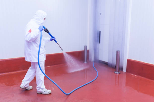 Best Graffiti Removal  in Minonk, IL